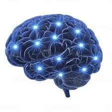 Brain Memory Keeper Brain Health Supplement