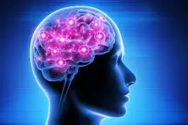 Brain Memory Keeper sale